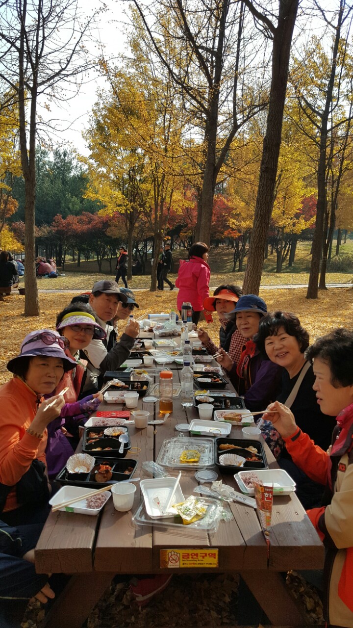 2018전성도 한마음 건강 걷기 대회.jpg